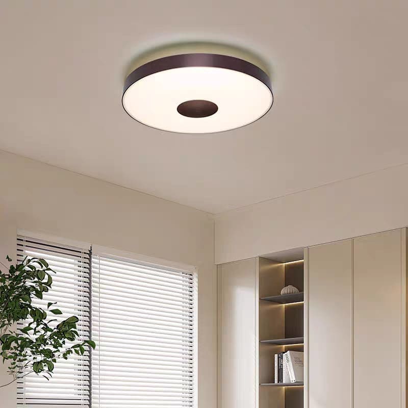 Minimalist Circular Ceiling Light